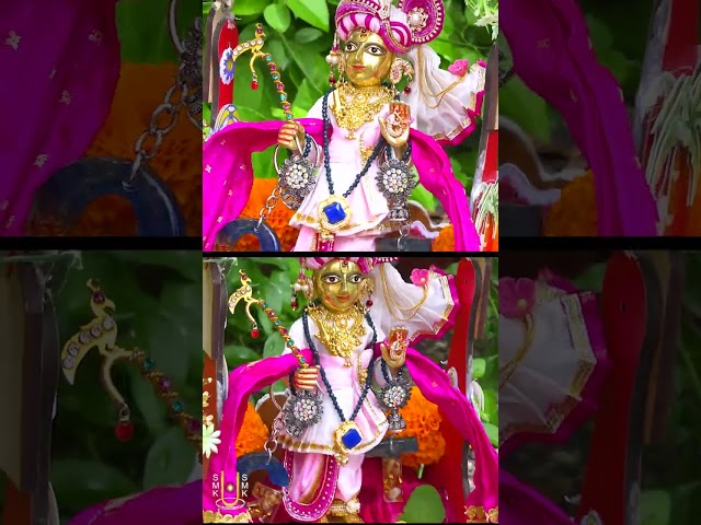 Harikrushna Maharaj