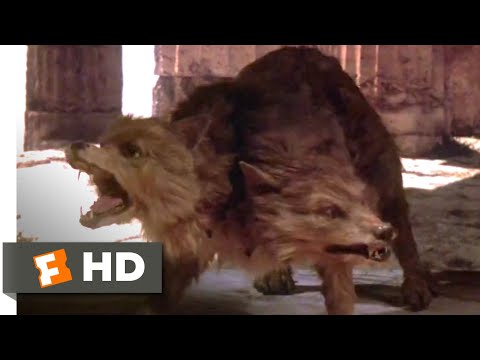 Clash of the Titans (1981) - Two-Headed Dog Fight Scene (5/10) | Movieclips