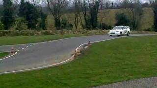 preview picture of video 'Rally School Ireland Eugene Bolton ..mp4'
