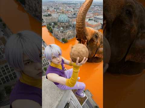 KPOP DEMON HUNTERS Feeding GIANT Animals🥥🐘