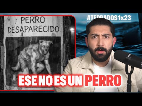 THAT'S NOT A DOG | TERRIFIED 1x23