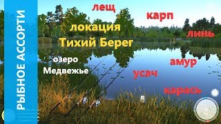 Рыбалка на озере медвежье новосибирск