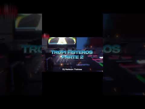 TROPI FIESTEROS MIX ( PARTE 02 ) - Dj Nelson Tobias 💚🤍💚