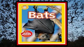 Bats! Read Aloud