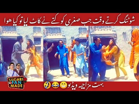 Live  Shooting time Sughrri or ramzi KO kutay nay Kat lia #funnyvideo2022#sughrifunny #Sughrifanmade