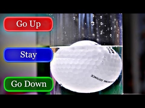 浮力測驗 (Buoyancy Quiz)