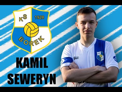 Kamil Seweryn - Skills&Goals - Borek Kraków