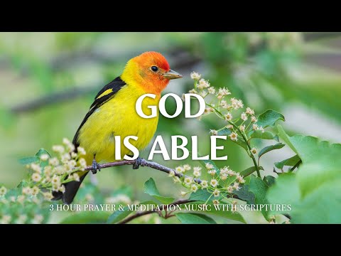 GOD IS ABLE | Instrumental Worship and Scriptures with Nature | Christian Harmonies