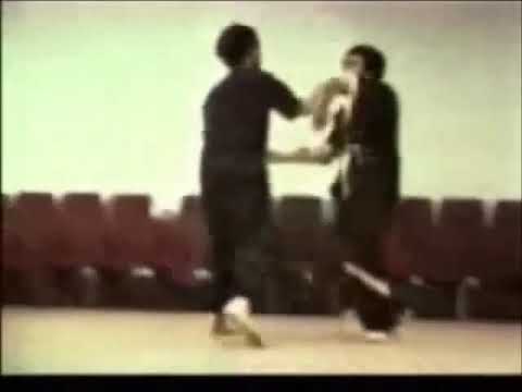 LeungTing WingTsun II., (Budo Zirkel, 1976)