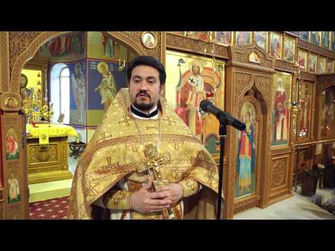 Проповедь в неделю 22-ю по Пятидесятнице