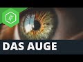 Das Auge