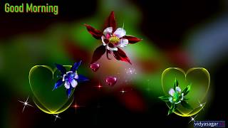 Good Morning Video - Colourful Flowers