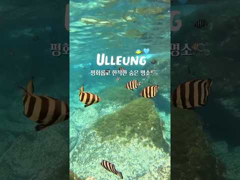 대자연 좋아하세요? 평화롭고 한적한 숨은 명소