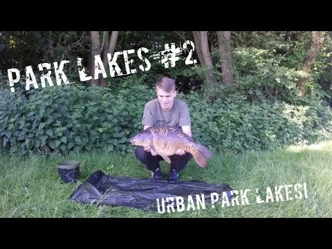 -Carp Fishing- Urban park lakes! #2 sutton lawn (Full video)