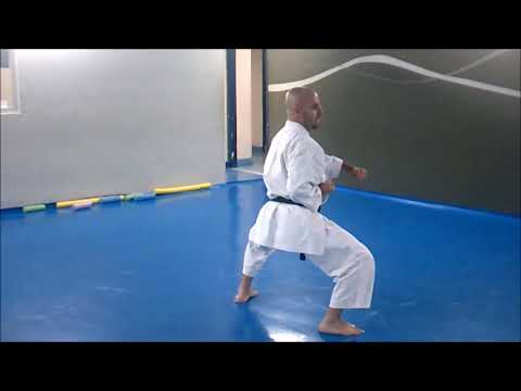 KATA SHINSEI SHITO RYU