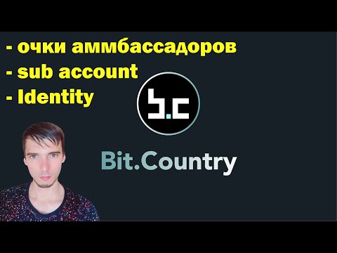 Bit.Country - Задаем identity/sub-account/очки для амбассадоров