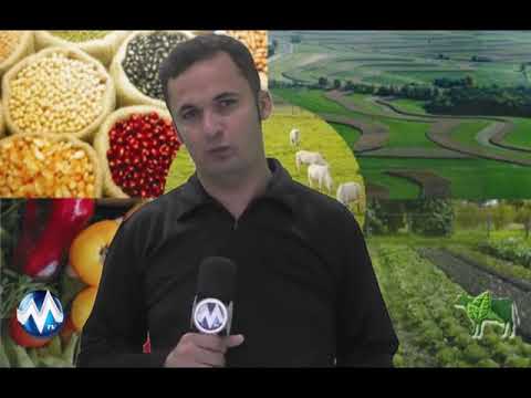 BLOCO PARAGOMINAS RURAL 19/11/2017.