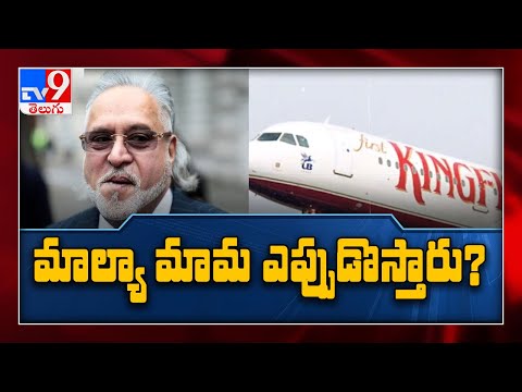 ‘Vijay Mallya’s extradition not possible until legal issue resolved,’ says UK - TV9