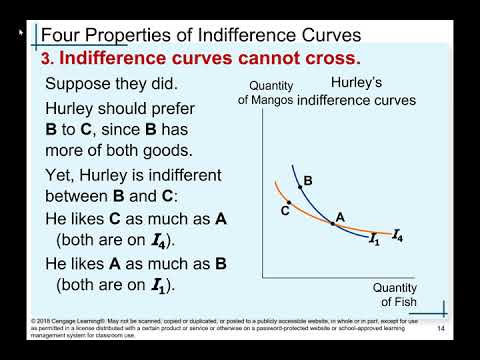 Chapter 21: The Theory of Consumer Choice