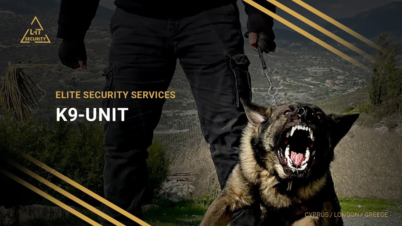 K9 unit