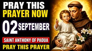 WHEN YOU DESPERATELY NEED A MIRACLE — PRAY WITH SAINT ANTHONY OF PADUA 🙏
