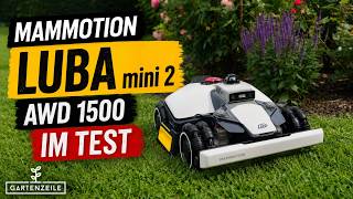 Mammotion LUBA mini 2 AWD 1500 im Test