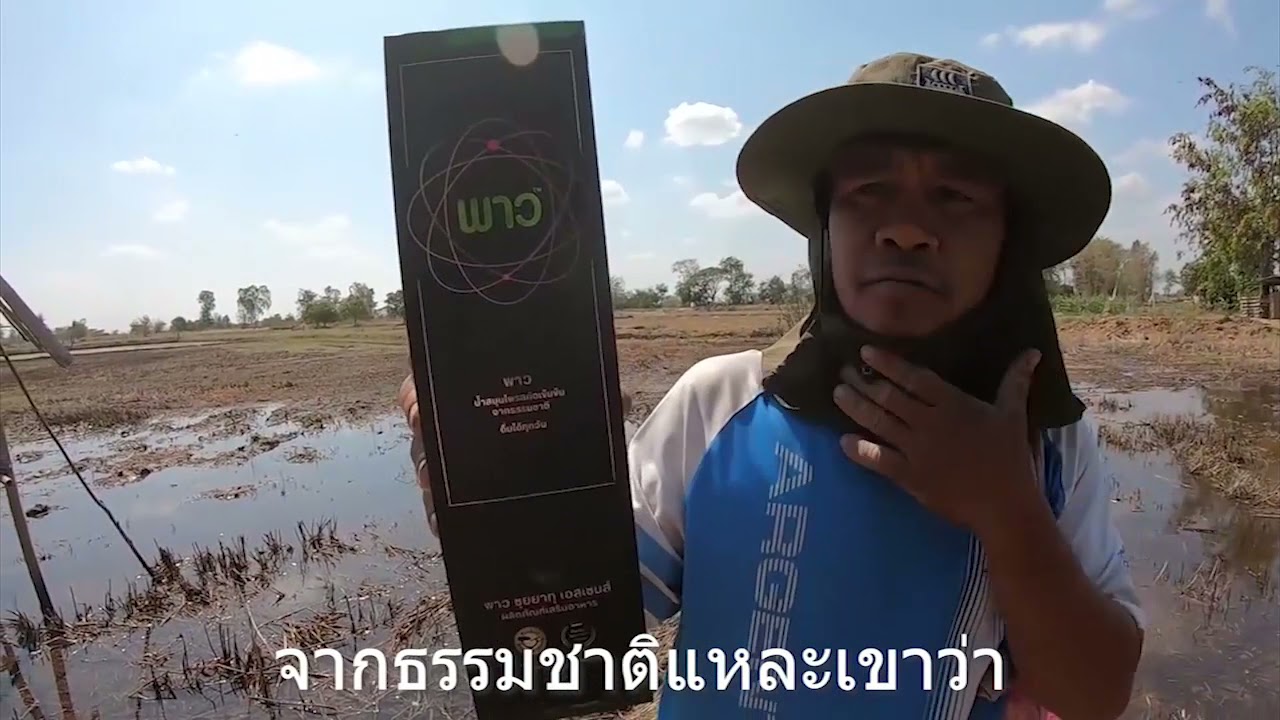 รีวิวน้ำสมุนไพรพลูคาวพาวจากทางบ้าน