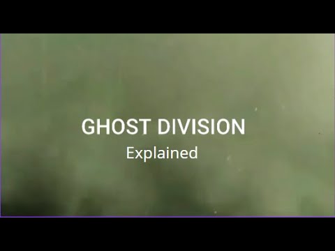 Explaning famous division part 1/7th panzer division (Ghost division)