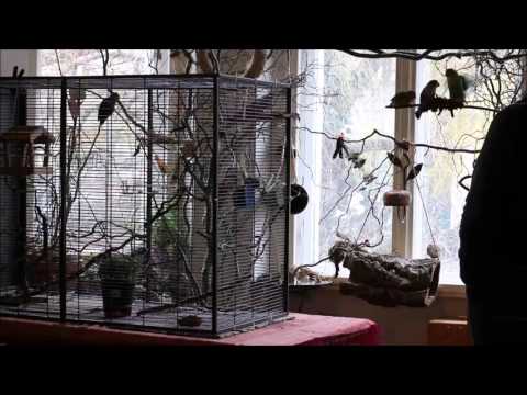 Mit-Anderen-Agas-Anlocken-20151220