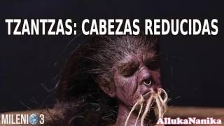Milenio 3 - Tzantzas: Cabezas Reducidas