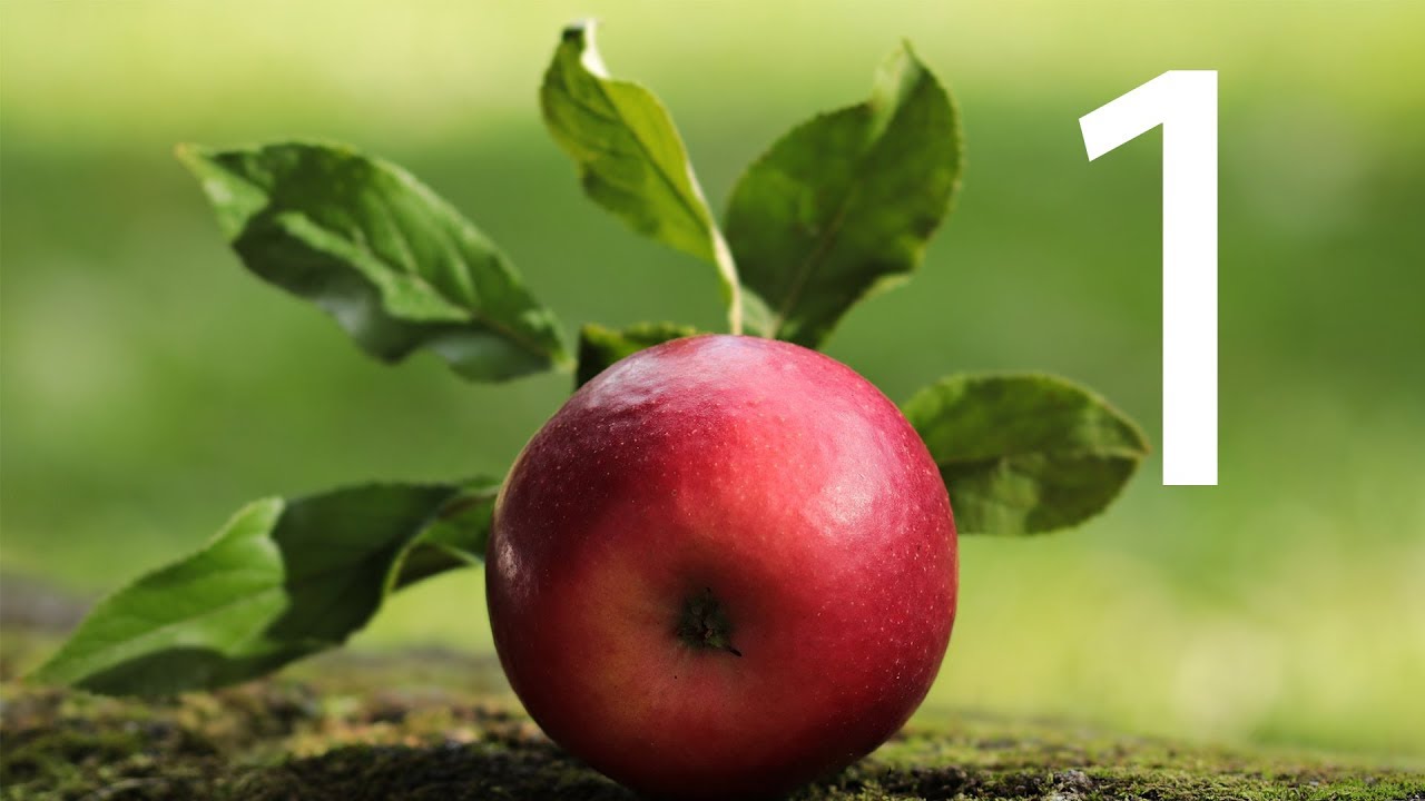 A primeira lei de Newton - Lei da Inércia