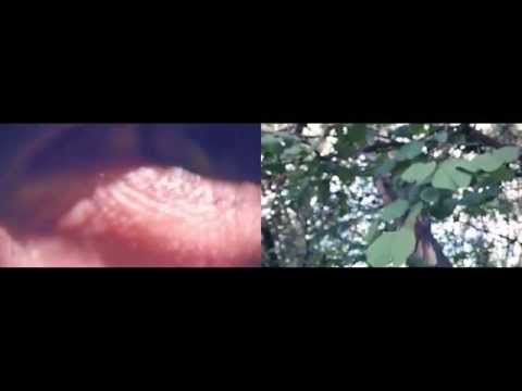 Melalcoholico - Bombo y Sarcofago