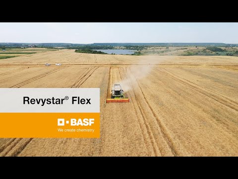 Fermierii români, despre Revystar® Flex: „Este cel mai bun produs pentru nevoile noastre”