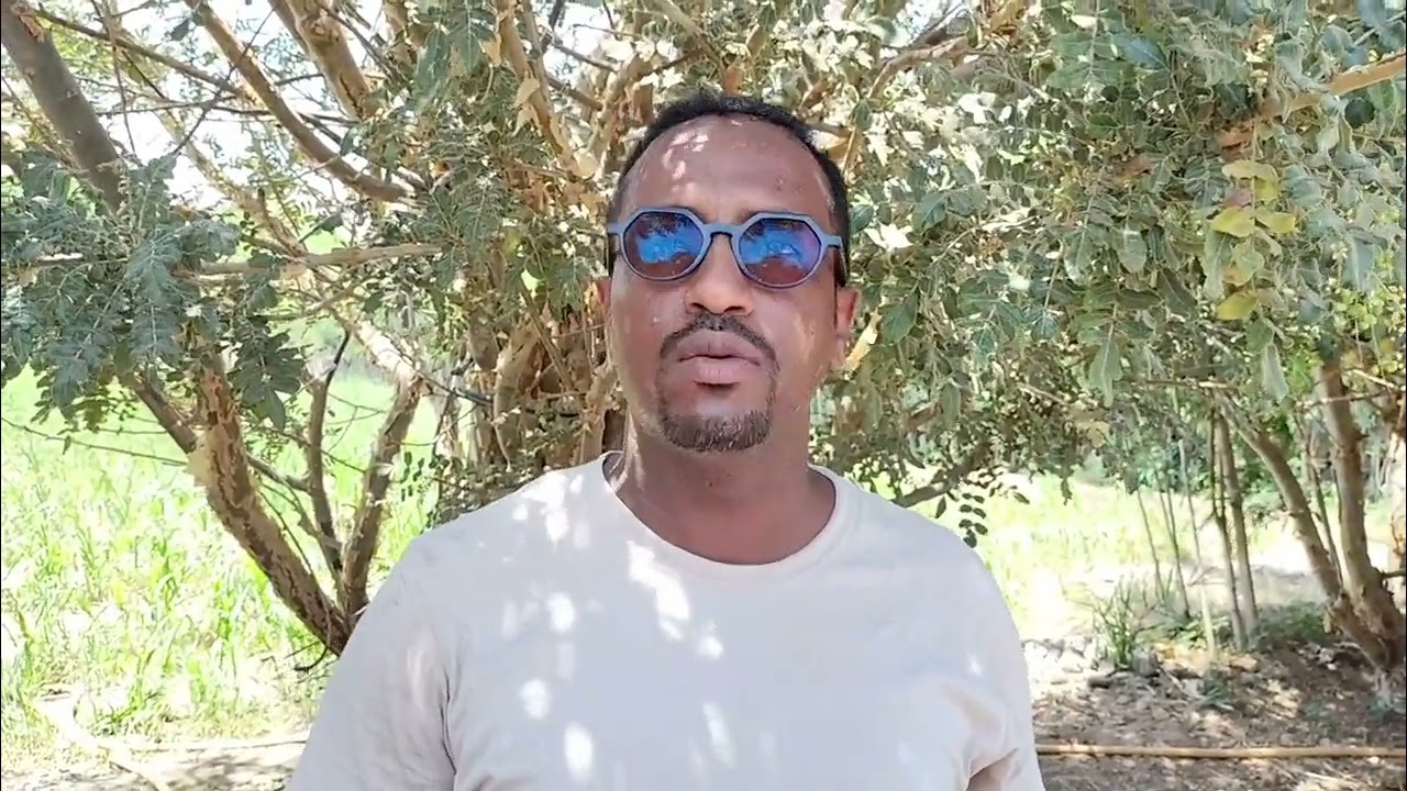 M. Moussa Abayazid Moussa -  Le fourrage
