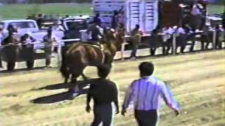 El machete, y el azteca) Lalo mora con banda