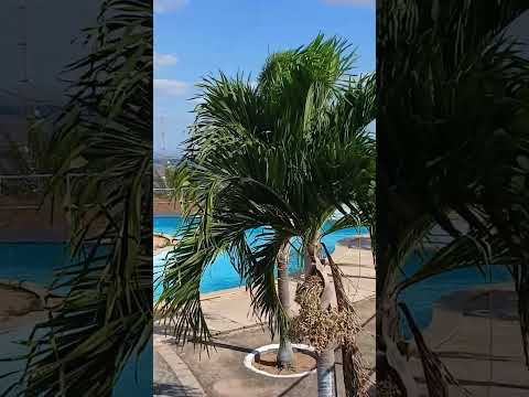 Um oásis para os dias de calor Mirante de Luis Gomes - RN