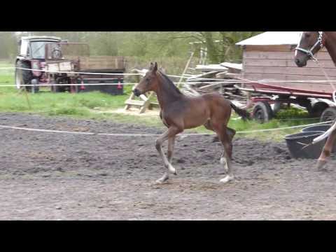 2017 04 10 2017 04 10 001 010