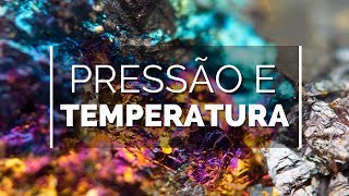 Por baixo da superfície | Terra Viva #5