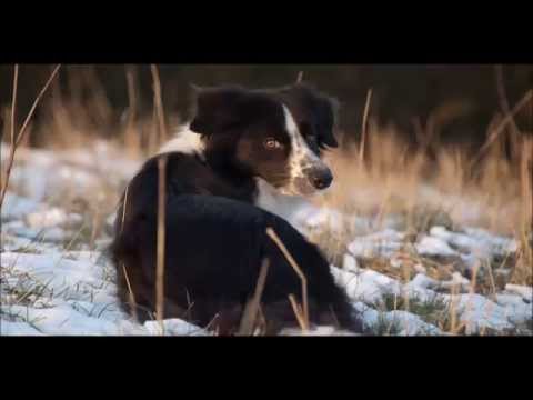 Happy Birthday, Lizzy!