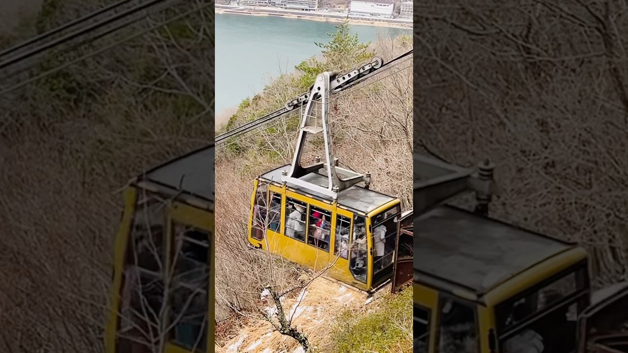 YouTube Short thumbnail