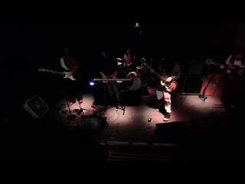 Humble Fish Full Set