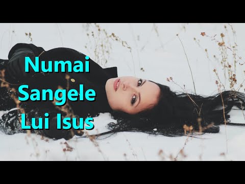🌟 Numai Sangele Lui Isus (Nothing But The Blood Of Jesus) - Karaoke Flaut Instrumental V2 RoF