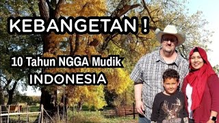 Download lagu 10 Tahun Tidak  MUDIK, apakah sudah lupa keluarga di Indonesia? Alasan kita belum mudik selama ini mp3