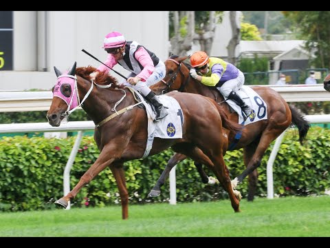 美麗同享  潘頓  喜駿駒  莫雷拉  都靈太陽  巴度  2022 04 24