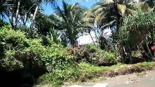 preview picture of video 'Pantai Madasari'