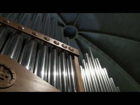 Antti & Anne Liikanen - Toccata