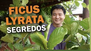 Miniatura do vídeo