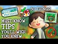 50 Things I WISH I Knew Sooner in Animal Crossing New Horizons