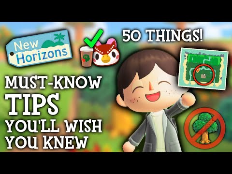 50 Things I WISH I Knew Sooner in Animal Crossing New Horizons