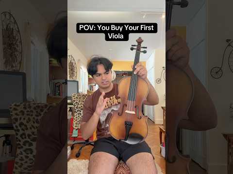POV: You Buy Your First Viola